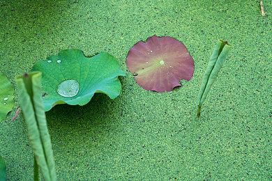 任天堂明确Switch2详情公布时间 4月2日21点